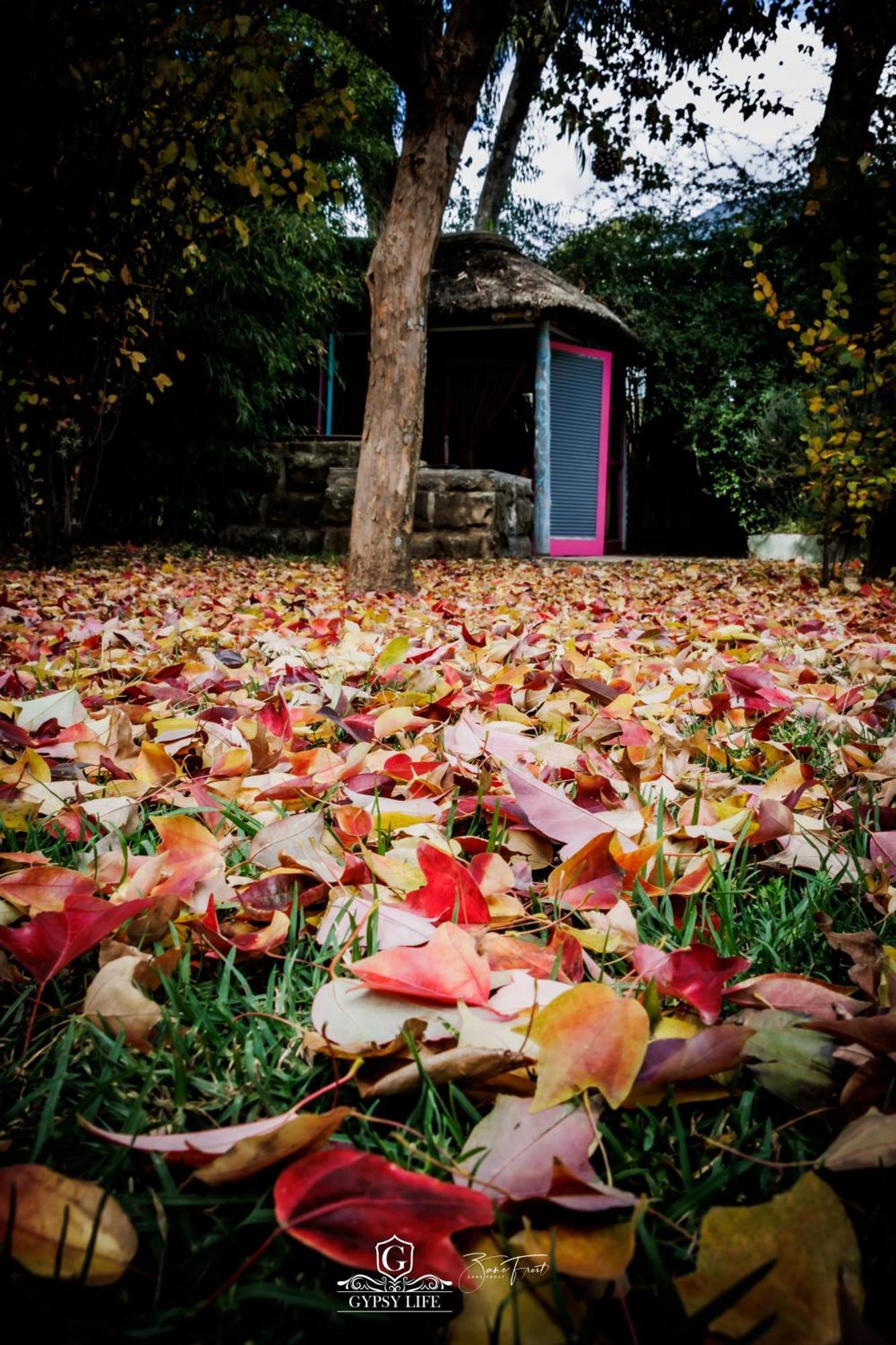 Gypsy Guest House クラレンス エクステリア 写真